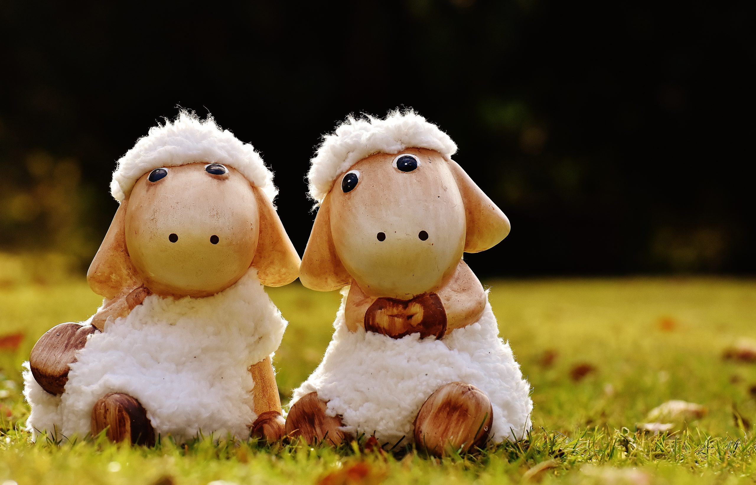 Nouveautés décembre 2025